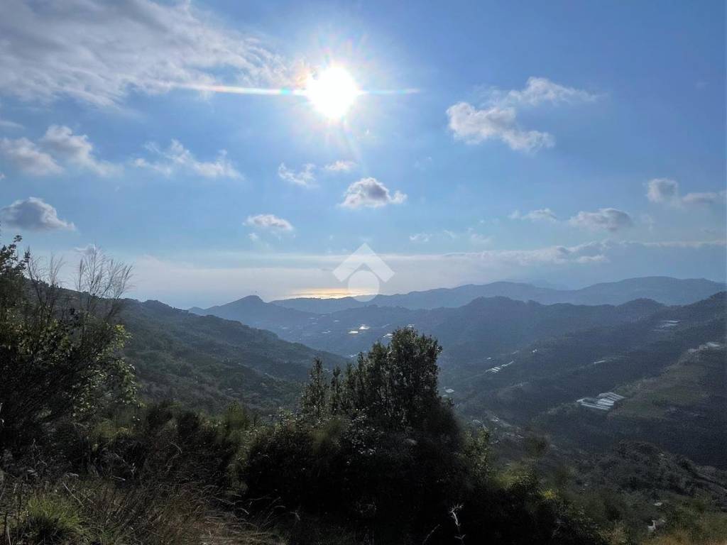 terreno agricolo in vendita a Perinaldo in zona Suseneo