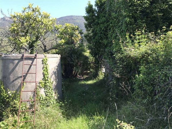 appartamento in vendita a Perinaldo