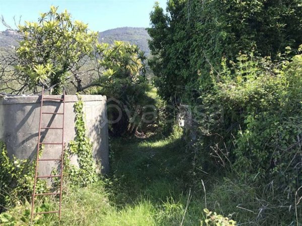 appartamento in vendita a Perinaldo