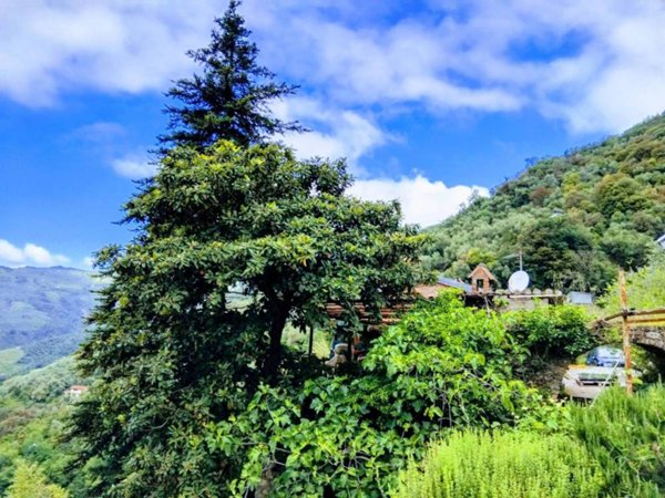 casa indipendente in vendita a Perinaldo