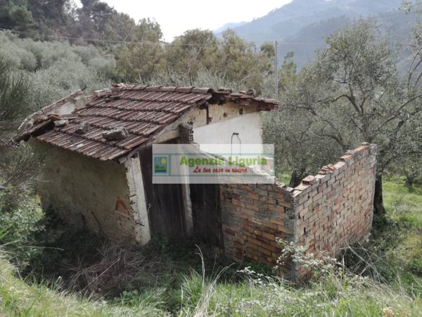 negozio in vendita a Perinaldo in zona Suseneo