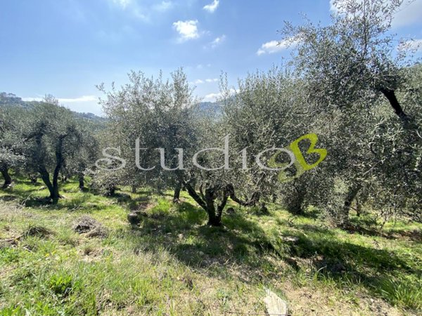 appartamento in vendita a Perinaldo