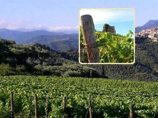 casa indipendente in vendita a Perinaldo