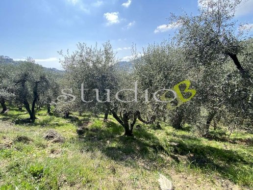 appartamento in vendita a Perinaldo