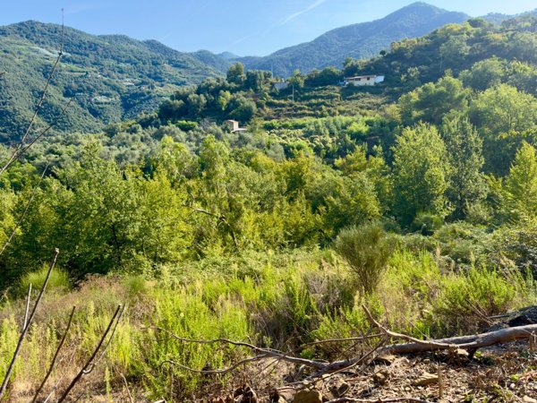 casa indipendente in vendita a Perinaldo