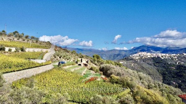 casa indipendente in vendita a Perinaldo