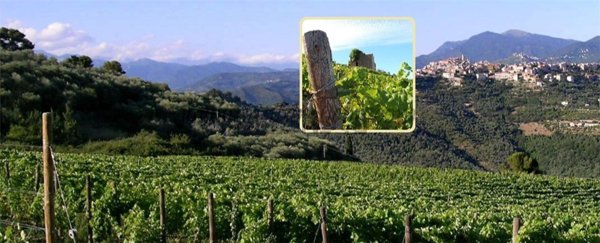 casa indipendente in vendita a Perinaldo