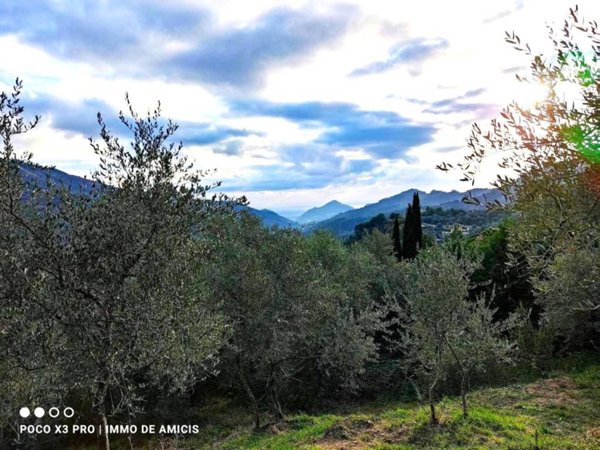 terreno agricolo in vendita a Perinaldo
