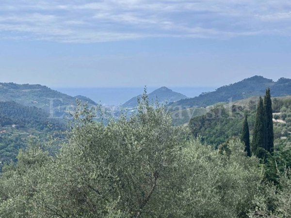 terreno agricolo in vendita a Perinaldo