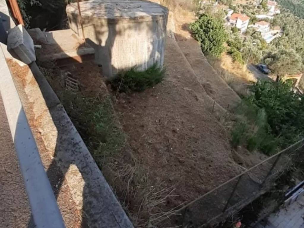 terreno agricolo in vendita a Perinaldo