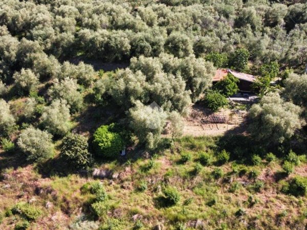 casa indipendente in vendita a Perinaldo