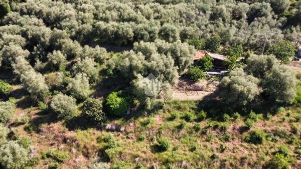 appartamento in vendita a Perinaldo