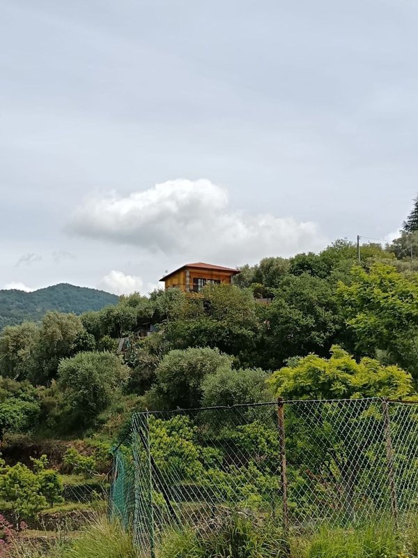 casa indipendente in vendita a Perinaldo in zona Suseneo