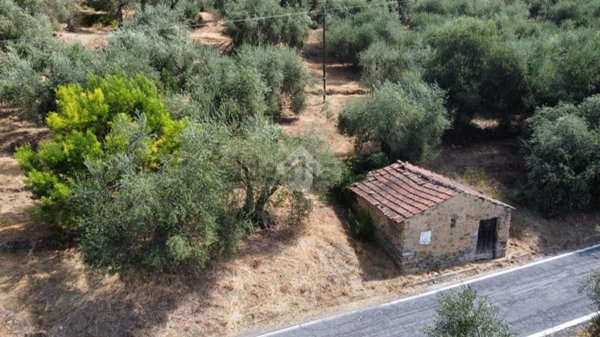 appartamento in vendita a Perinaldo