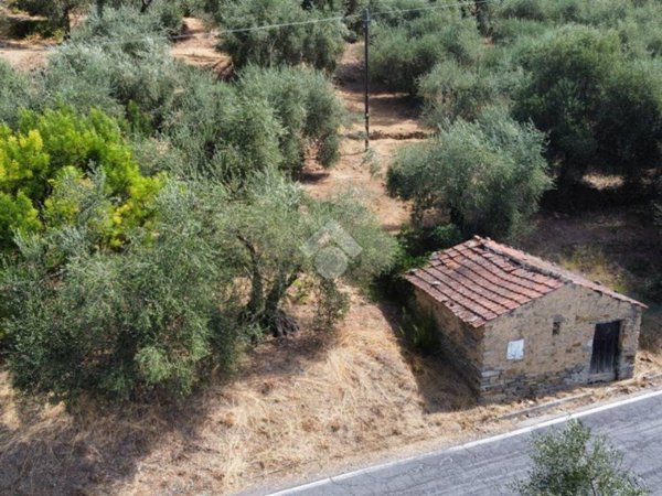 casa indipendente in vendita a Perinaldo