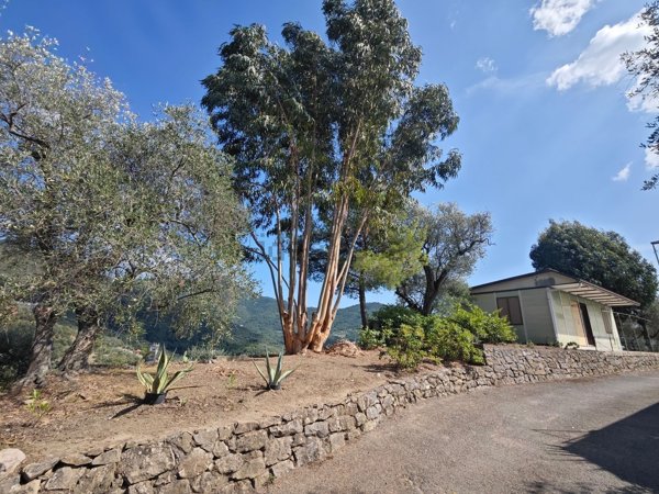casa indipendente in vendita a Perinaldo in zona Suseneo