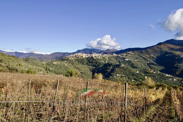 terreno in vendita a Perinaldo