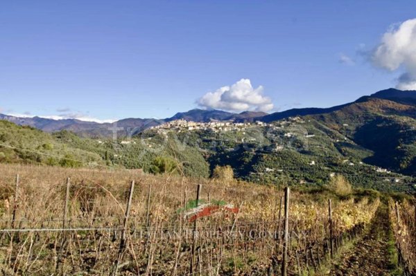 terreno in vendita a Perinaldo in zona Suseneo