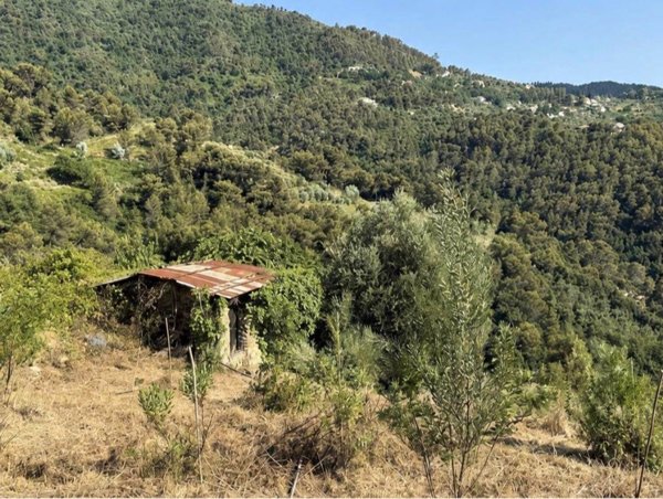 casale in vendita a Perinaldo