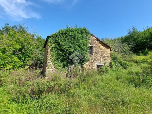 terreno agricolo in vendita a Pietrabruna