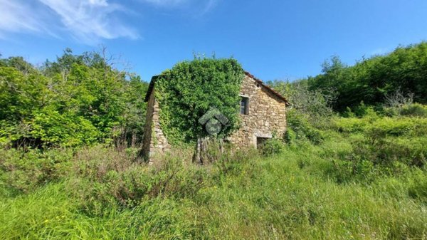 terreno agricolo in vendita a Pietrabruna in zona Boscomare
