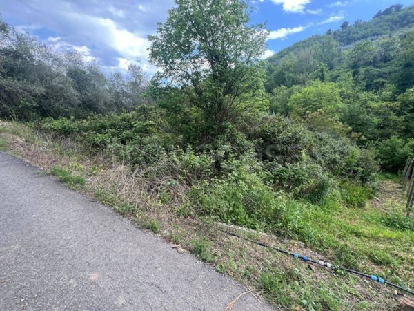 terreno agricolo in vendita a Pietrabruna
