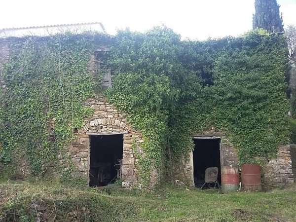 appartamento in vendita a Pietrabruna in zona Boscomare