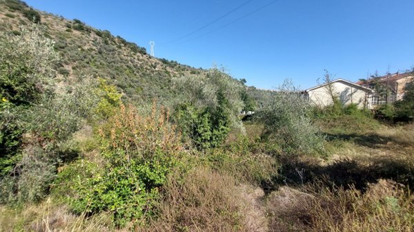 appartamento in vendita a Pietrabruna in zona Torre Papone