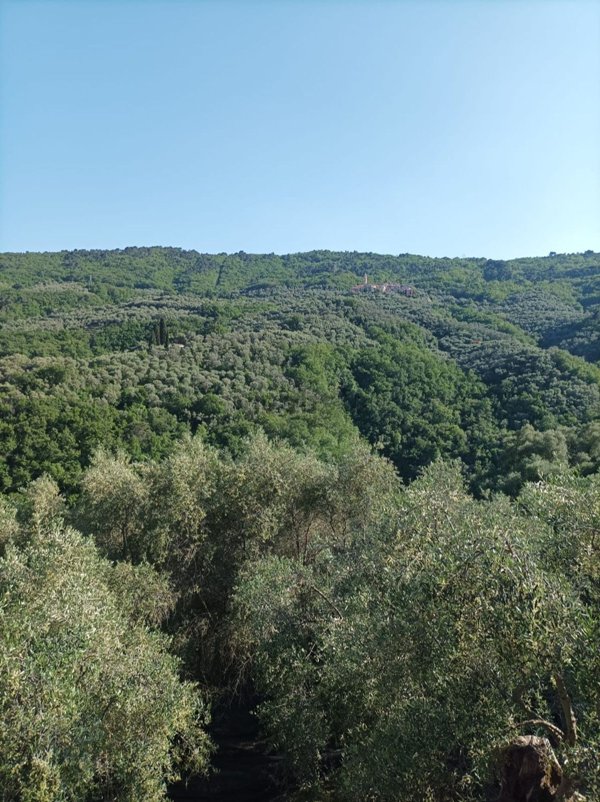 appartamento in vendita a Pietrabruna in zona Boscomare