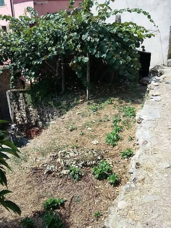 negozio in vendita a Pietrabruna in zona Boscomare