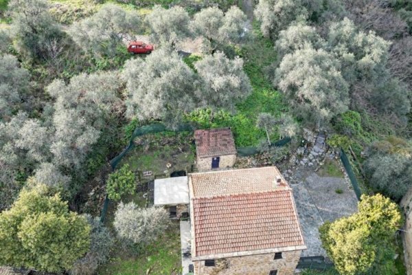 immagine annuncio 0 di 1