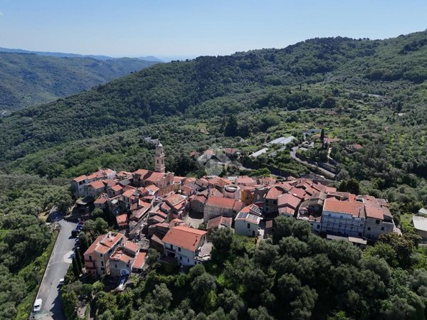 esavano in vendita a Pietrabruna in zona Boscomare