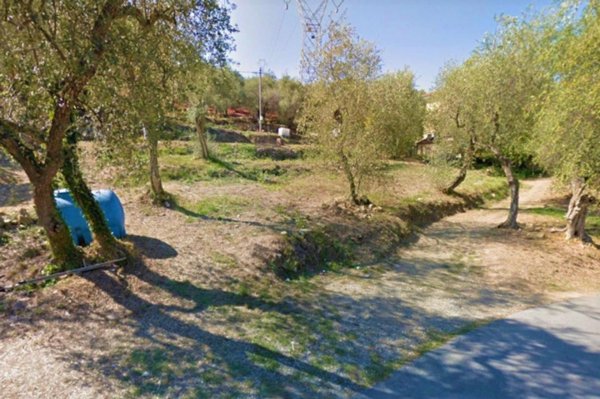 terreno agricolo in vendita a Pietrabruna in zona Torre Papone