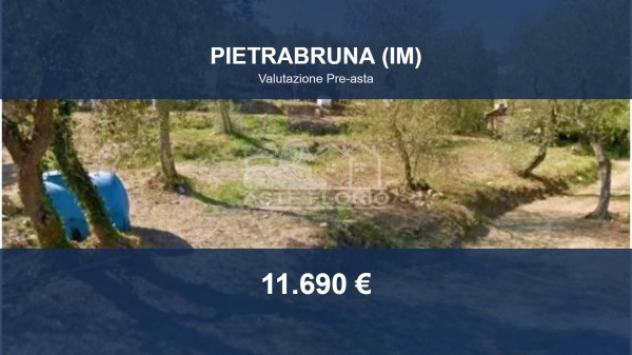 terreno agricolo in vendita a Pietrabruna in zona Torre Papone