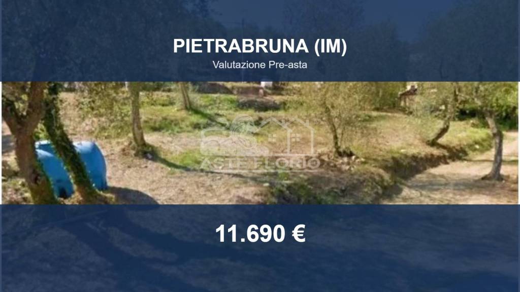 terreno agricolo in vendita a Pietrabruna in zona Torre Papone