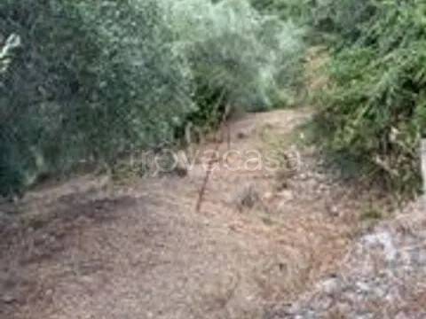 terreno in vendita a Pietrabruna in zona Boscomare