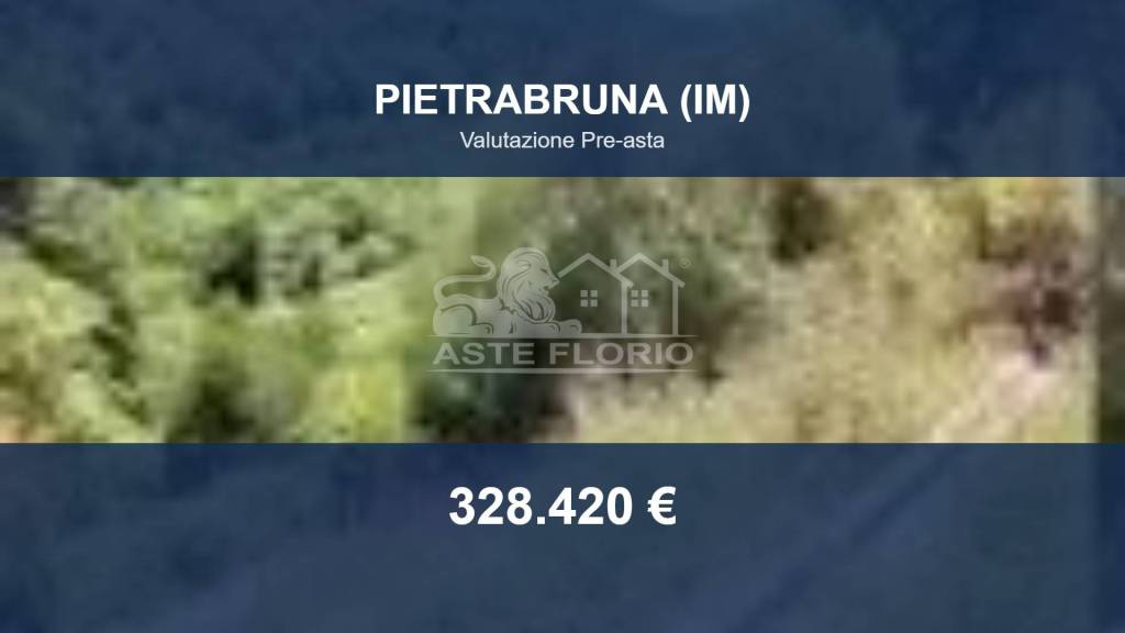 terreno in vendita a Pietrabruna