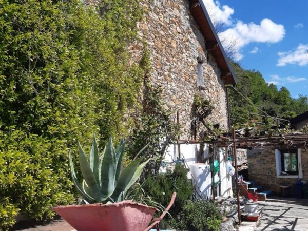 casa indipendente in vendita a Pieve di Teco in zona Lovegno