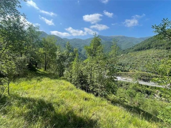 casa indipendente in vendita a Pieve di Teco