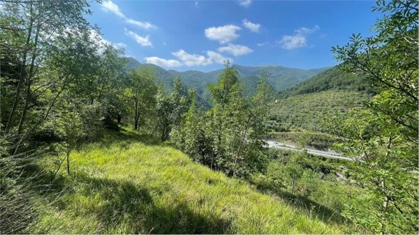 casa indipendente in vendita a Pieve di Teco