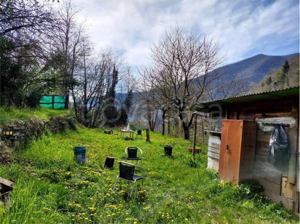 terreno agricolo in vendita a Pieve di Teco