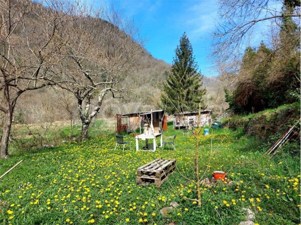 terreno agricolo in vendita a Pieve di Teco
