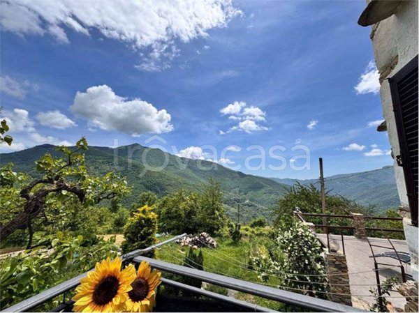 casa indipendente in vendita a Pieve di Teco in zona Trovasta