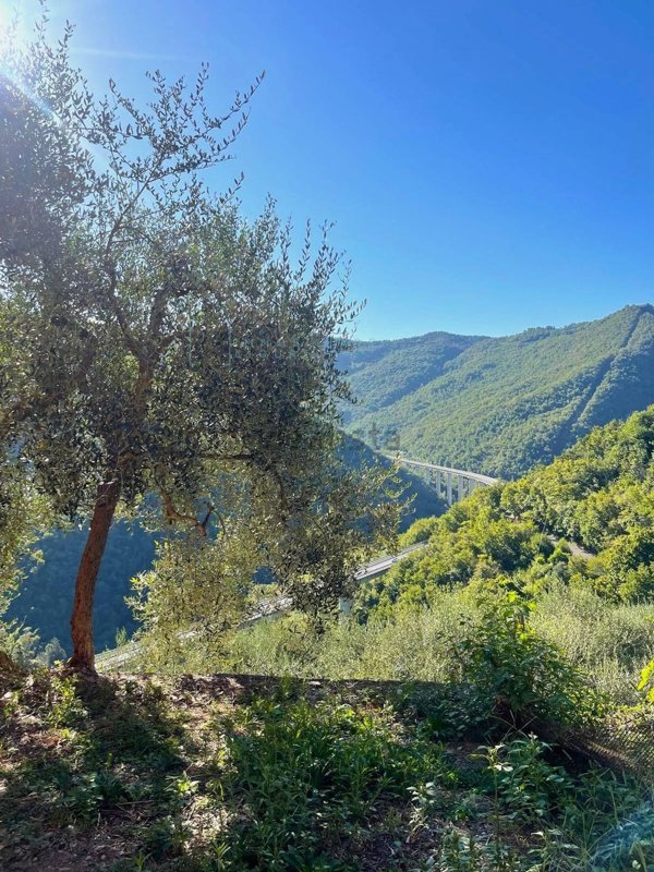 casale in vendita a Pieve di Teco in zona Calderara