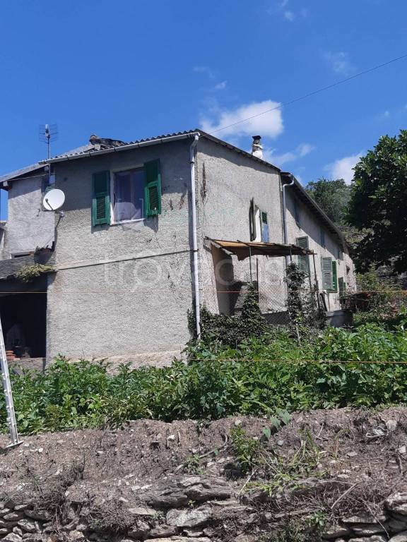 casa indipendente in vendita a Pieve di Teco in zona Moano