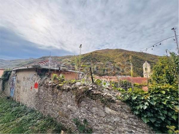 terreno agricolo in vendita a Pieve di Teco