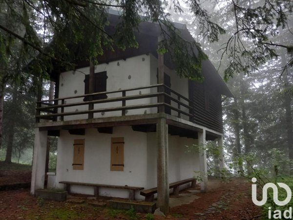 casa indipendente in vendita a Pigna