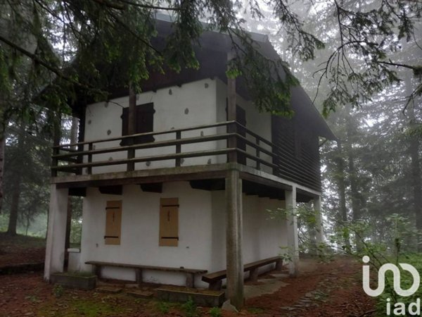 casa indipendente in vendita a Pigna