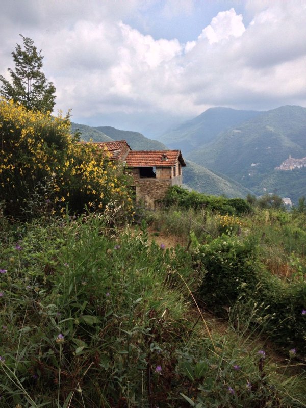 casa indipendente in vendita a Pigna