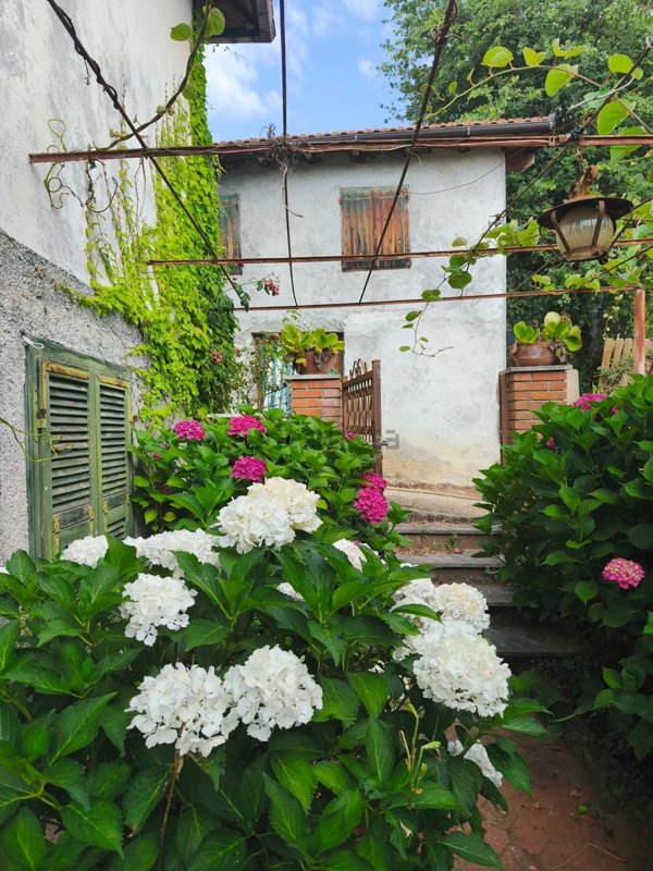 casa indipendente in vendita a Pigna